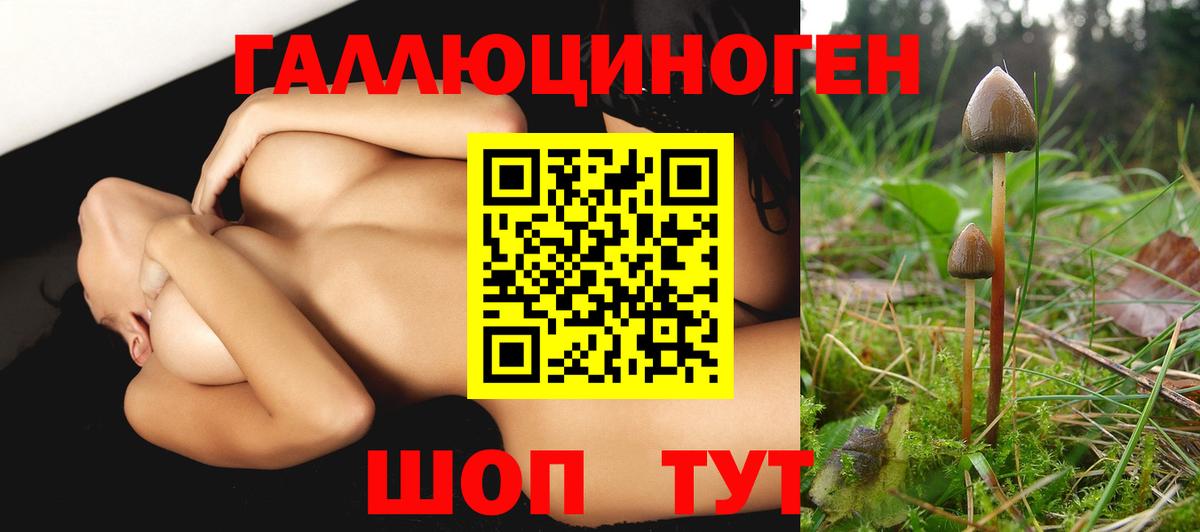 Галлюциногенные грибы Psilocybine cubensis Каменск-Шахтинский