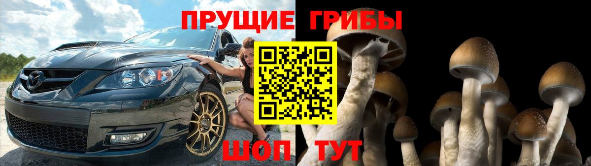 Псилоцибиновые грибы прущие грибы  Вход с VPN  Каменск-Шахтинский 